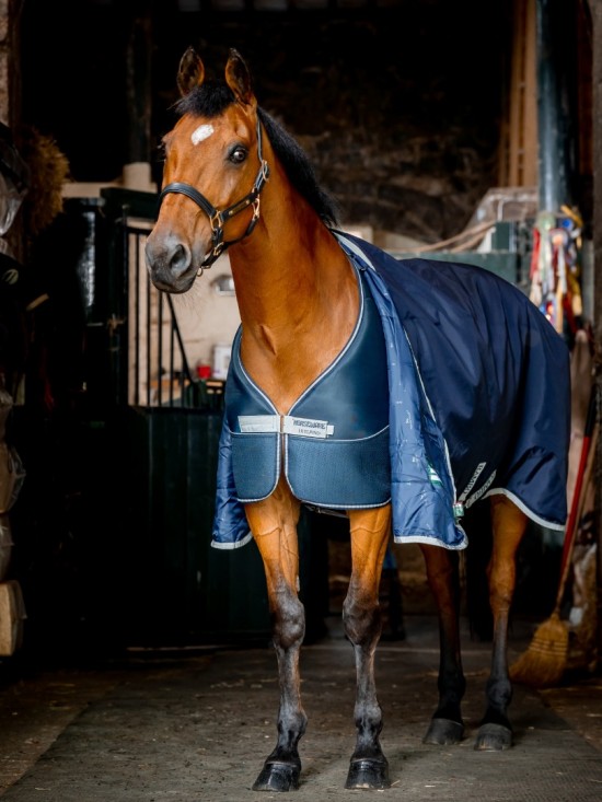 Horseware Dry Liner