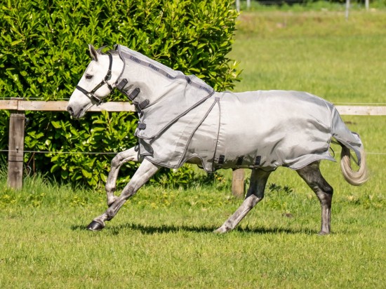 Rambo Optimo Protector Plus