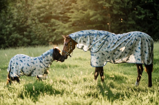 Amigo Bug Rug Plus Dragonfly (incl. afneembare hals)