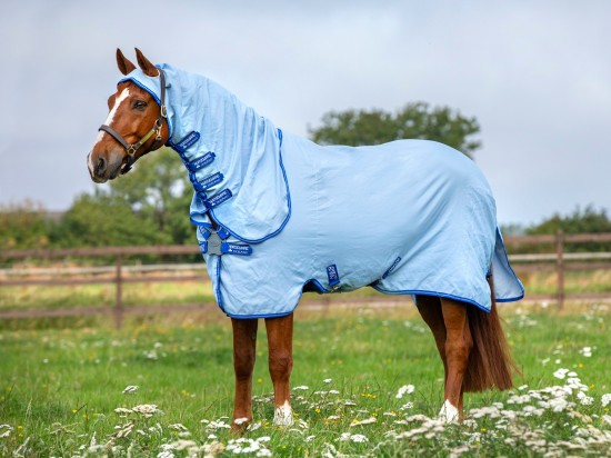 Stong Blue (kruissingels)