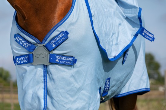 Stong Blue (kruissingels)