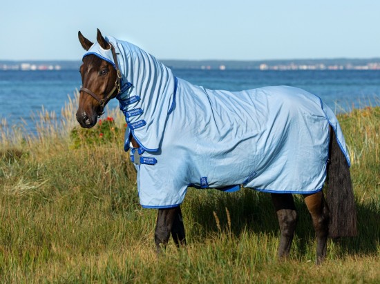 Stong Blue (kruissingels)