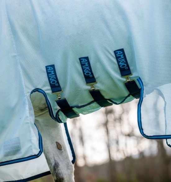 Azure Blue/Navy & Electric Blue