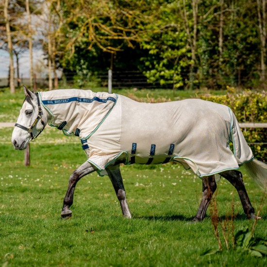 Chalk/Navy & Blue Haze