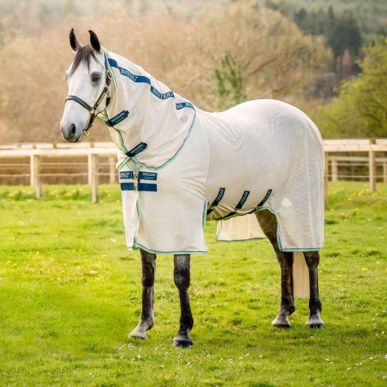 Chalk/Navy & Blue Haze