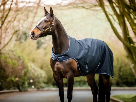 Amigo Walker, Stapmolendeken 100gr.