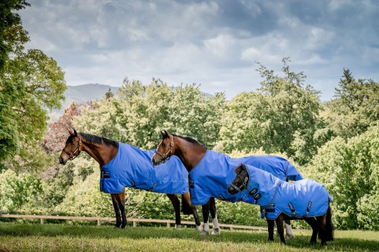 Amigo Hero 6 Petite Plus