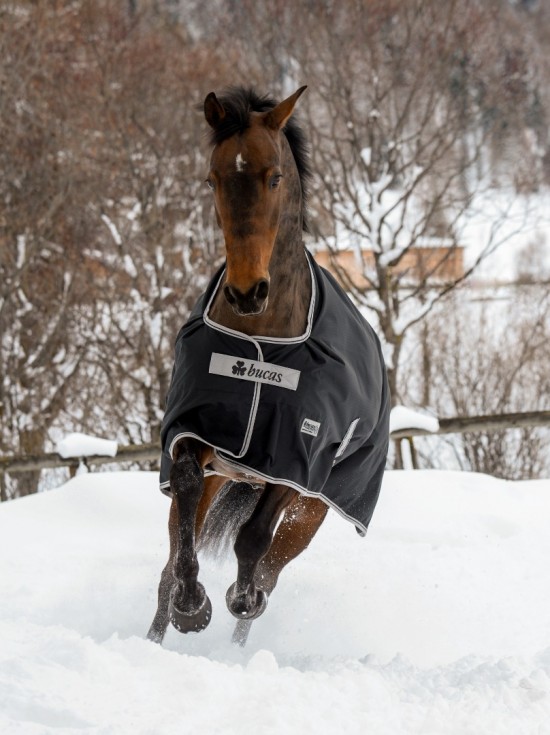 Bucas Anniversary Turnout Light Stay-Dry