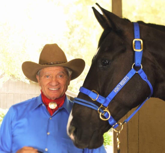 Monty Roberts Dually Halter, Blauw