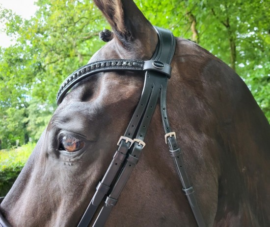 Passier Blu Spirit Hoofdstel Blinky Graphite