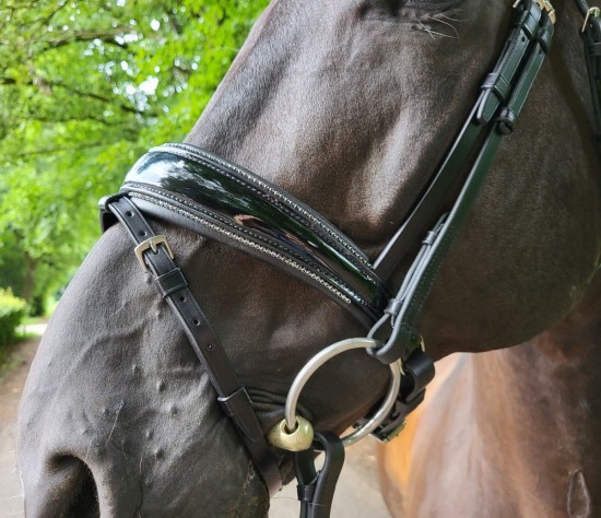 Passier Blu Spirit Hoofdstel Blinky Graphite