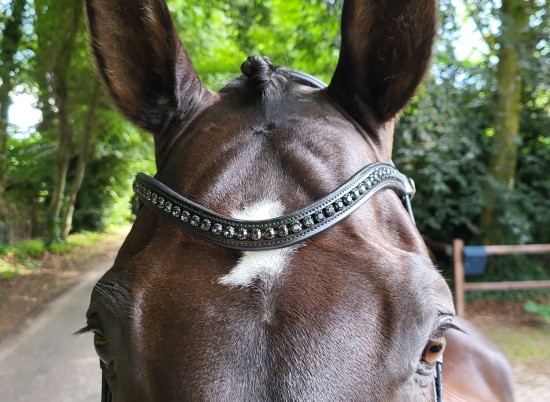 Passier Blu Spirit Hoofdstel Blinky Graphite