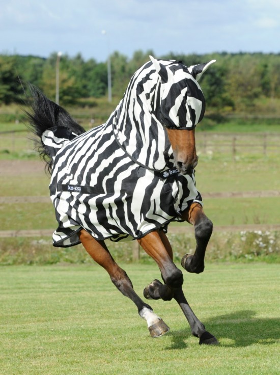 Bucas Buzz-Off Full Neck Zebra met vliegenmasker