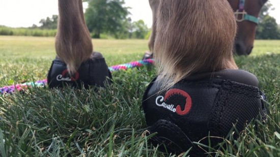 F.R.A. Cavallo Hoefschoenen CLB (Cute Little Boot)