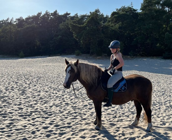 F.R.A. Bareback Pad Dardo