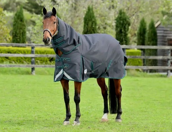 Weatherbeeta ComFiTec Plus Dynamic II Detach-A-Neck Medium 220gr.