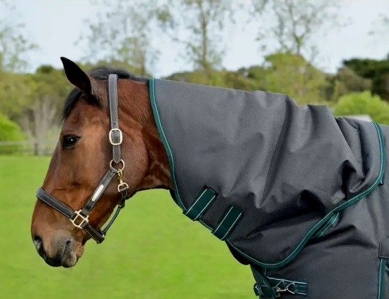 Weatherbeeta ComFiTec Plus Dynamic II Detach-A-Neck Medium 220gr.