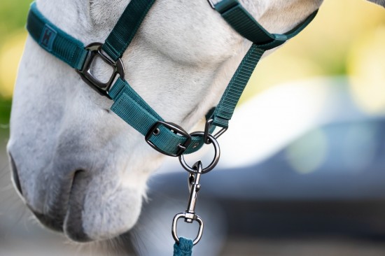 Horseware Amigo Halsterset Dynasty Green