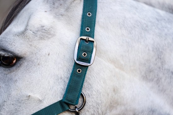 Horseware Amigo Halsterset Dynasty Green