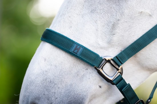 Horseware Amigo Halsterset Dynasty Green