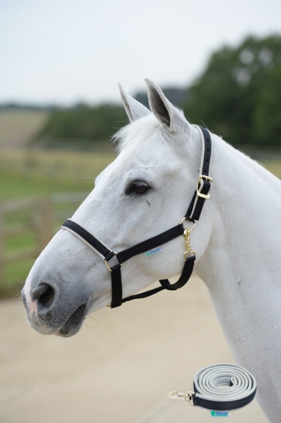 Dublin met touw black silver