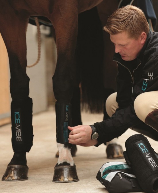 Horseware Cold Packs voor Ice Vibe Boots