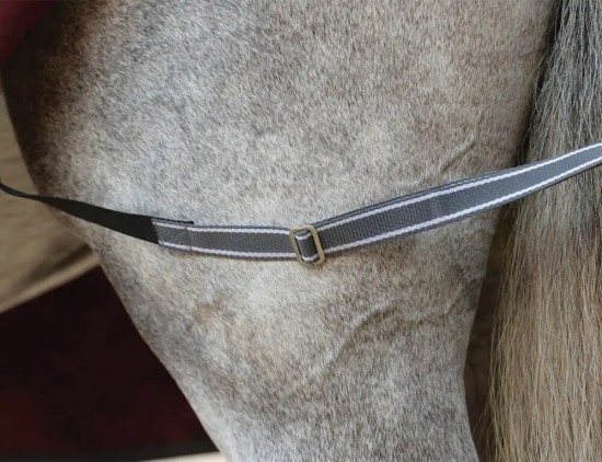 Weatherbeeta ComFiTec Plus Dynamic II Standard Neck Lite