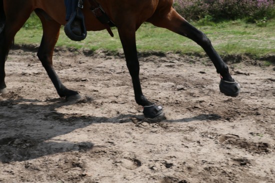 F.R.A. Cavallo Hoefschoenen TREK