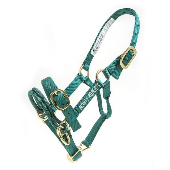 Monty Roberts Dually Halter, Groen