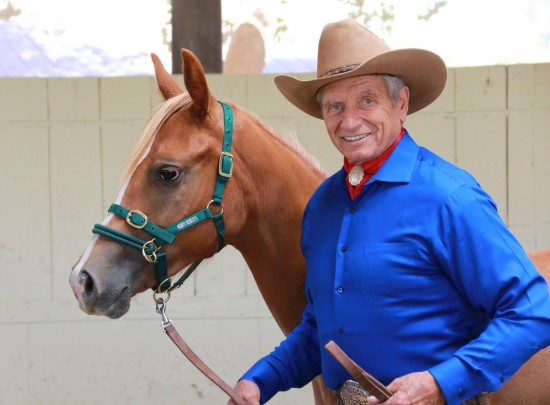 Monty Roberts Dually Halter, Groen