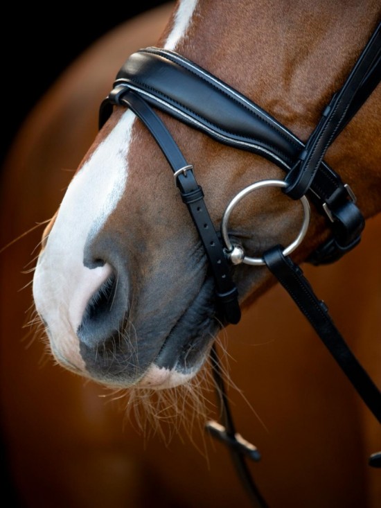 Horse Guard Cryll hoofdstel