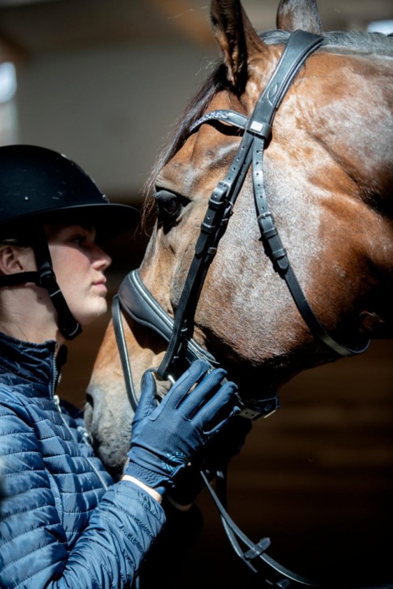 Horse Guard Cryll hoofdstel