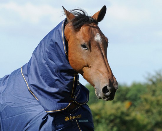 Bucas Irish Turnout Combi Neck 50gr. Navy / Orange