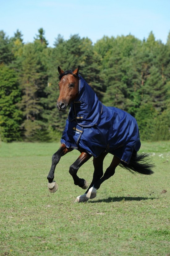 Bucas Irish Turnout Combi Neck 50gr. Navy / Orange