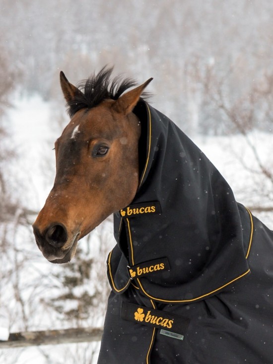 Bucas Irish Turnout Combi Neck 0gr. Black / Orange