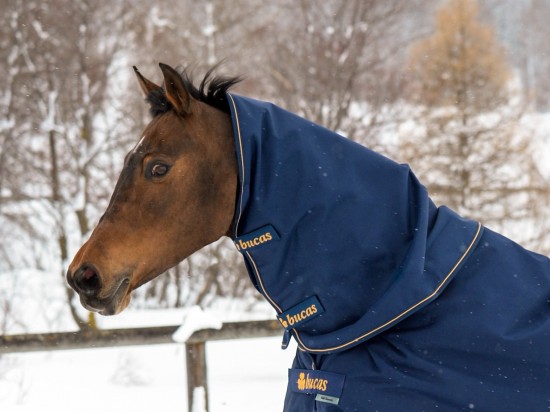 Bucas Irish Turnout Combi Neck 0gr. Navy / Orange