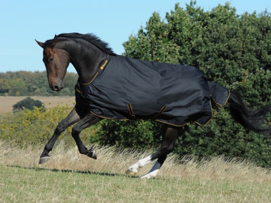 Bucas Irish Turnout Light Black / Orange