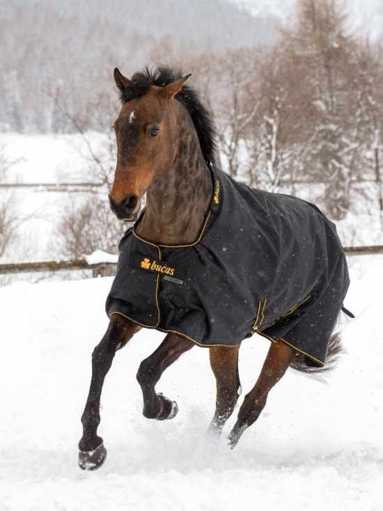 Bucas Irish Turnout Light Black / Orange