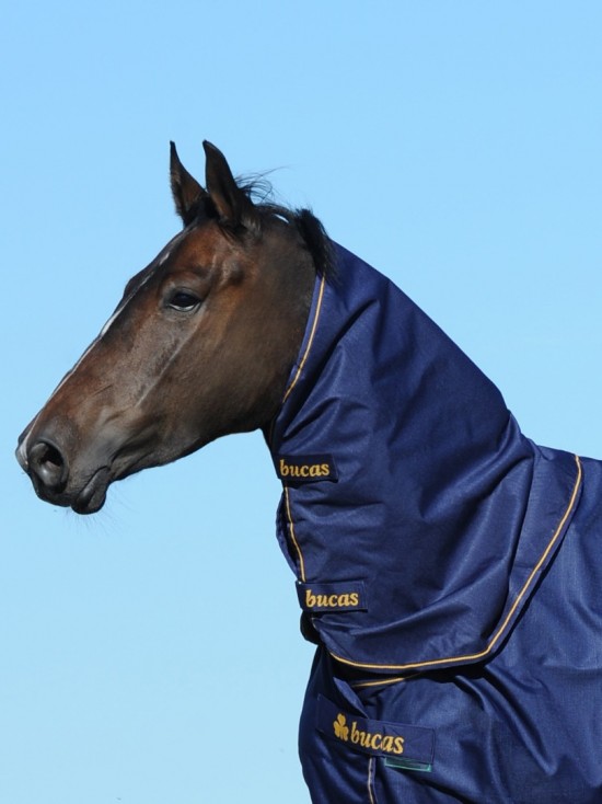 Bucas Irish Turnout Combi Neck 0gr. Navy / Orange