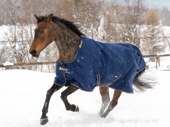 Bucas Irish Turnout Light 50gr. Navy / Orange