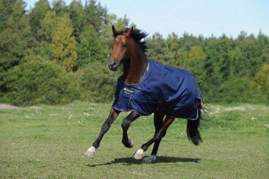 Bucas Irish Turnout 150gr.