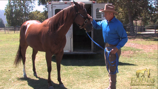 Monty Roberts Lead Line 5,2M