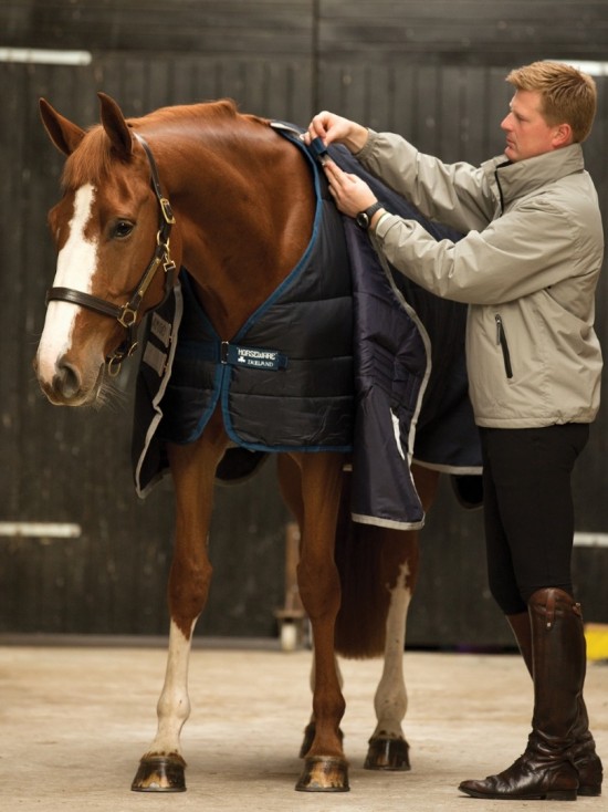 Horseware Liner 400 grams