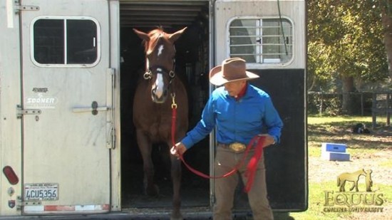 Monty Roberts Lead Line 3,6M