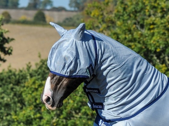 Buzz-Off Fly Mask Blue
