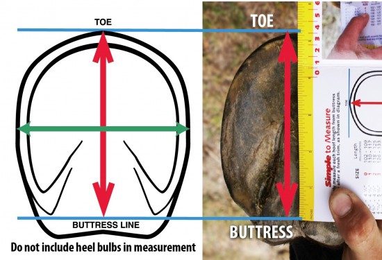 F.R.A. Cavallo Hoefschoenen SIMPLE