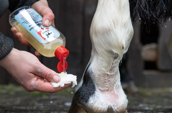 Leovet First Aid MED-Wash Lotion