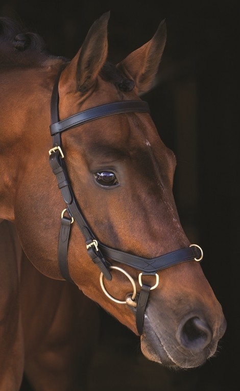Rambo Micklem Multi Bridle Teugels