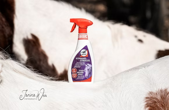 Leovet Milton Spray voor Schimmels