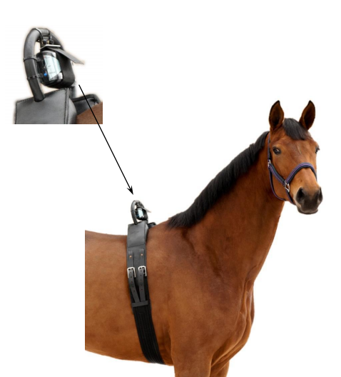 Anti Rolsingel Compleet